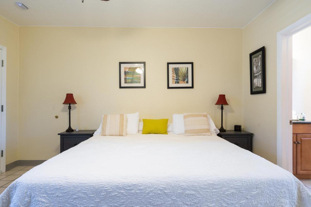 Mar Bay Exclusive Suites Safety Harbor Zewnętrze zdjęcie