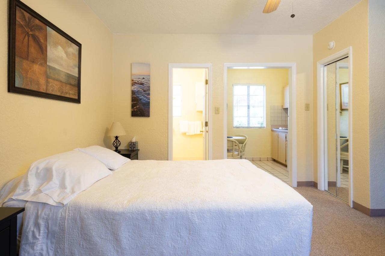 Mar Bay Exclusive Suites Safety Harbor Zewnętrze zdjęcie