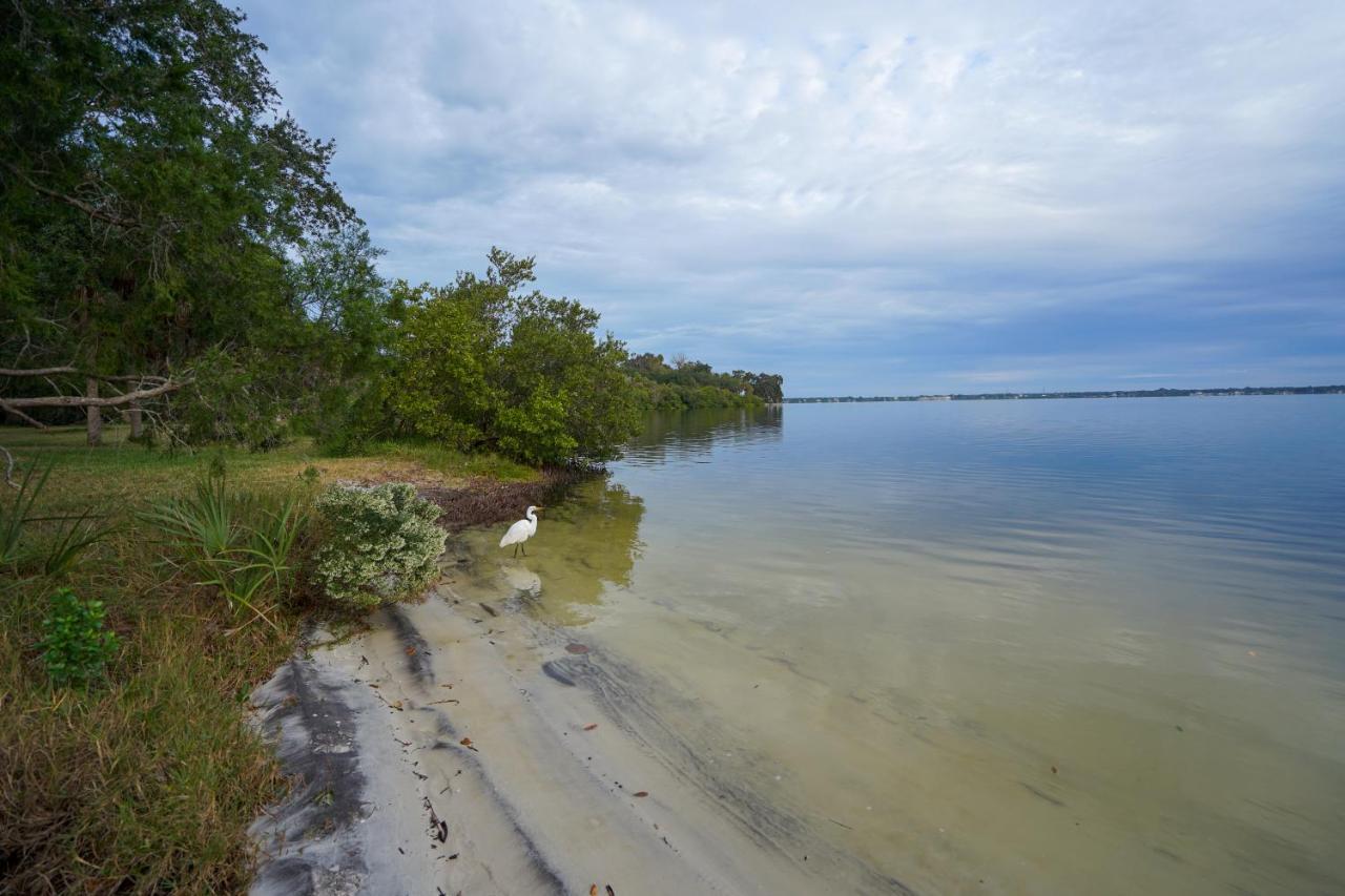 Mar Bay Exclusive Suites Safety Harbor Zewnętrze zdjęcie